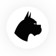 DarkHound